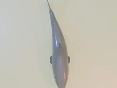 Shark 3D model 9
