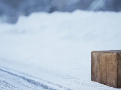 Realistic Dirty Cardboard Low-poly 3D model