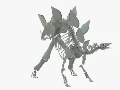 Stegosaurus Rigged Skeleton Low-poly 3D model