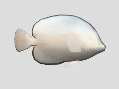 Purple Tang Realistic Animated Low-poly 3D model