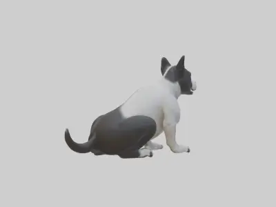Sitting Staffordshire Bull Terrier model Low-poly 3D model