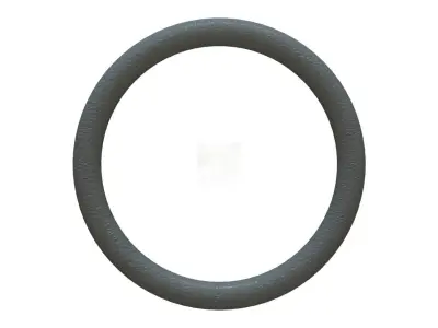 O Ring Vedabras 12497 3D model