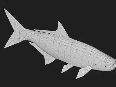 Tarpon Low-poly 3D model purchase