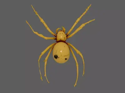 Spider 3D model 21