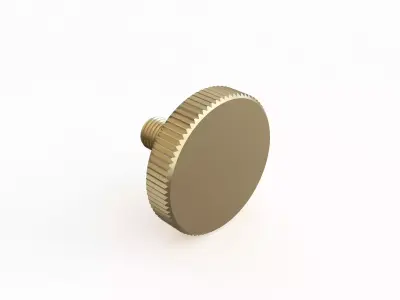 Screw 83 3D model