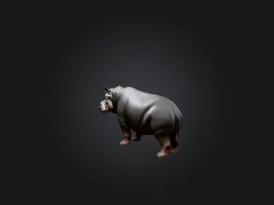 Realistic Hippopotamus Model Low-poly 3D model