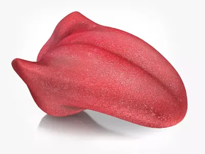 Tongue lip Low-poly 3D model