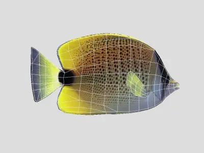Millet Butterflyfish Realistic Animated Low-poly 3D model