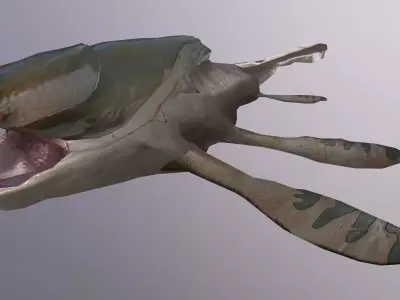 Ancient Shark Free 3D model