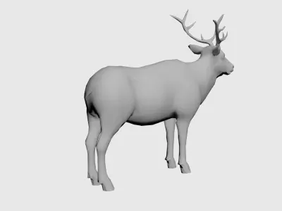 Moose-wild animals Low-poly 3D model
