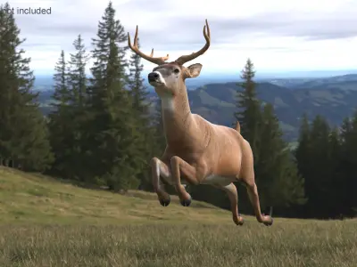 Whitetail Deer Running Pose 3D model