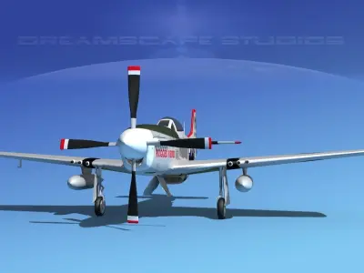 P-51D Mustang Rugged Rebel 3D model