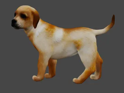 Dog X1 Low-poly 3D model