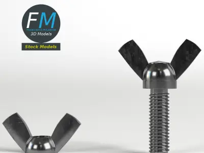 Wing nut and screw 3D model