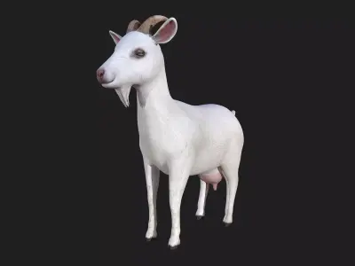 3D GOAT Low-poly 3D model