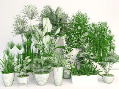 Plants 19 3D model