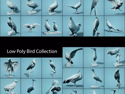 Low Poly bird Collection Low-poly 3D model