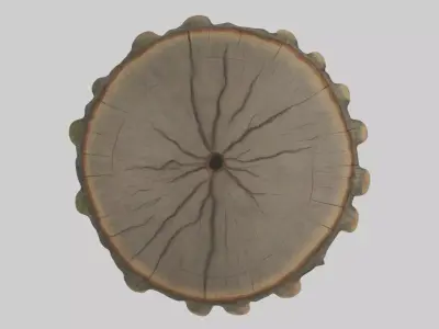 Treetrunk Model Low-poly 3D model