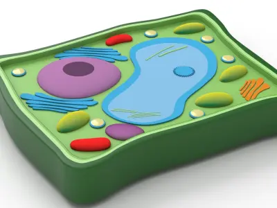 Plant Cell v3 3D model