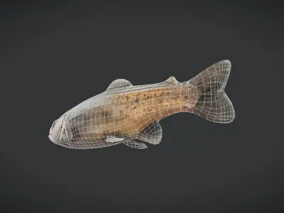 Fish - Trout Low-poly 3D model