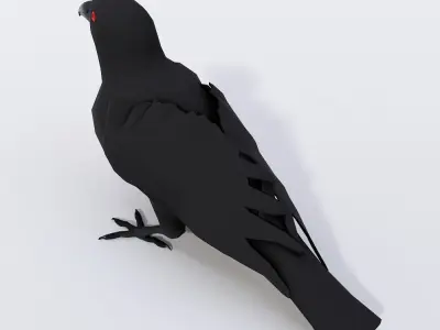 Raven crow cartoon 3d model  Low-poly 3D model