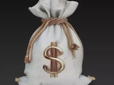 Money Bag Free 3D print model
