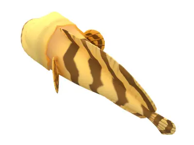 Oyster Toad Fish Cartoon Animated Low-poly 3D model