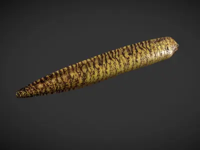 Lamprey eel Low-poly 3D model