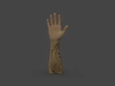 HAND-009 Right Hand Low-poly 3D model