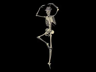 Skeleton-2 skeleton Low-poly 3D model