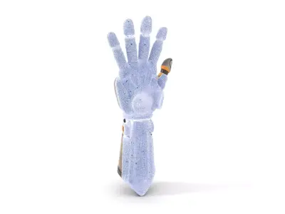 Steampunk Robotic Hand Model Pack Low-poly 3D model