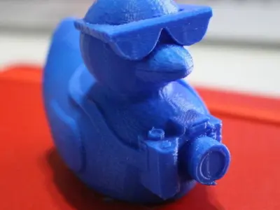 Tourist Duck Free 3D print model