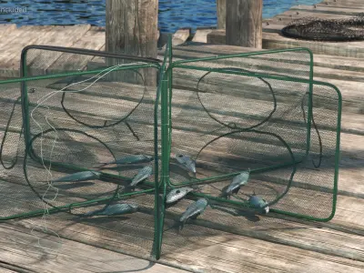 Mesh Fishing Trap with Fish Inside 3D model