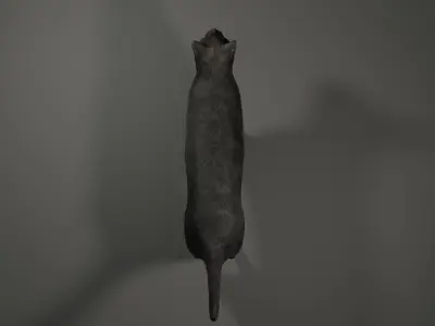 Black Cat Free low-poly 3D model
