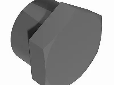PVC End Caps - BSP Female Free 3D model