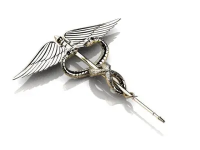 brooch medical symbol 3D print model