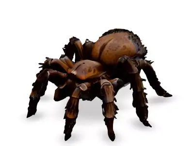 Realistic Huntsman Spider 3D Model Low-poly 3D model