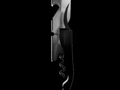 Corkscrew 3D Model 3D model