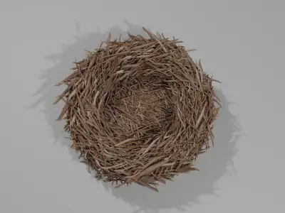 Realistic Bird nest 3D model