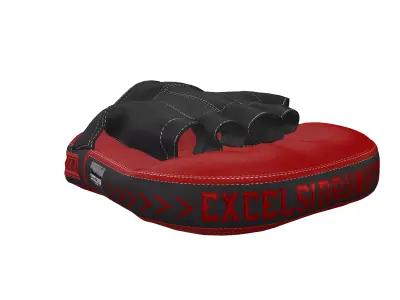 Boxing Training Pad  Focus Mitt  Premium 3D Model ZPRJ    Low-poly 3D model