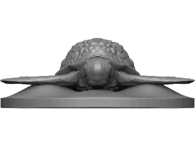 Sea Turtle 3D model order