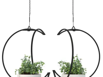 Metal Hanging Plants 04 3D model