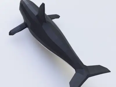 Killer Whale fish low poly 3d model  Low-poly 3D model