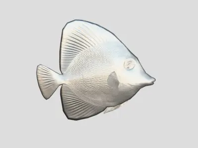 Purple Yellow Tang Realistic Animated Low-poly 3D model