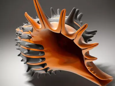 Shell orange and sea 3D model