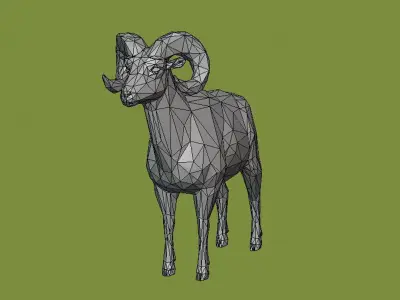 Horned sheep 3D model