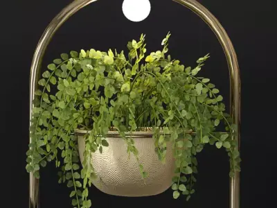 Metal Hanging Lamp Indoor Plant Partition Free 3D model