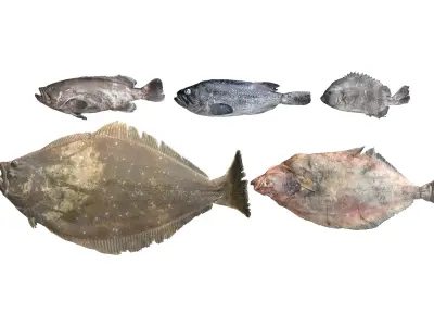 Seafood Shops Pack 01 3D model
