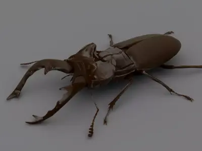 Stag Beetle Low-poly 3D model purchase