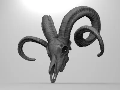 CRANEO CARNERO IMPRESION 3D - RAM SKULL 3D PRINTING 3D print model